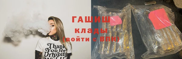 индика Арсеньев