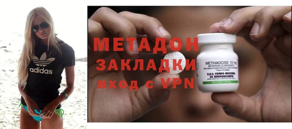 индика Арсеньев