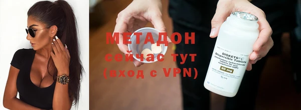 индика Арсеньев