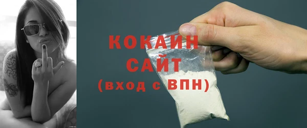 индика Арсеньев