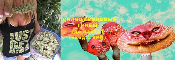 амф Алзамай