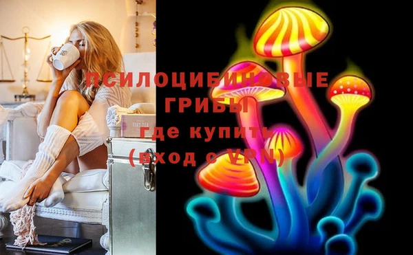 индика Арсеньев