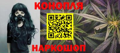 стаф Донской