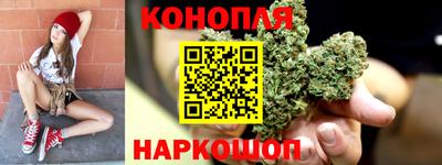прущие грибы Донецк