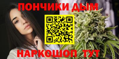 спиды Дубна