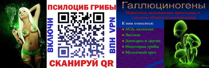 mega ССЫЛКА  Дербент  Галлюциногенные грибы GOLDEN TEACHER 